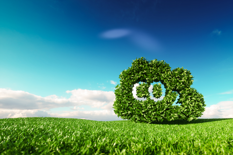 uninimex-carbono-emisiones
